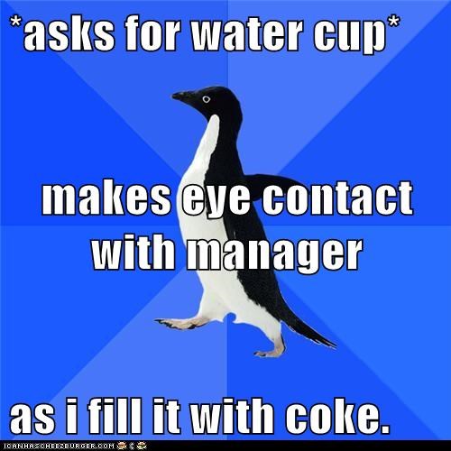 Meme Animals: Socially Awkward Penguin - Oh, Is This the COKE Button?  I Meant to Press for Water! 
