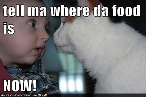 tell ma where da food is  NOW!