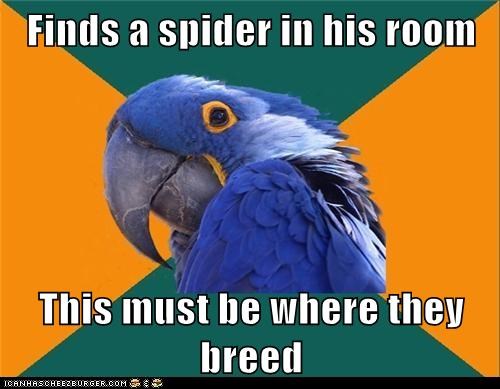 Paranoid Parrot: And He Never Slept Again