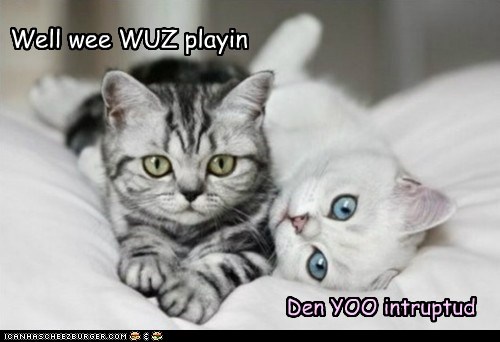 Purrrrfect Playmates