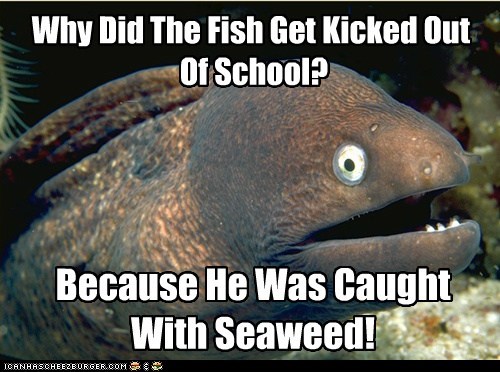Why Did The Fish Get Kicked Out Of School?