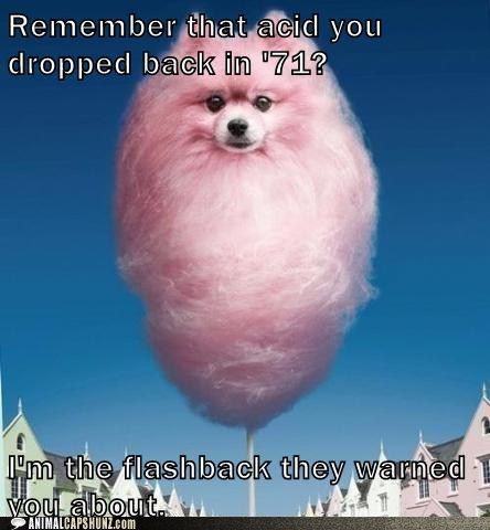 Cotton Candy Capshun Contest 3rd Runner Up!