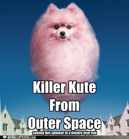 Cotton Candy Capshun Contest 2nd Runner Up!!