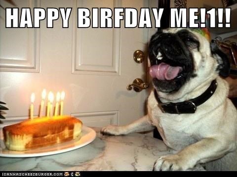 HAPPY BIRFDAY ME!1!!