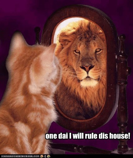 Big Dreams