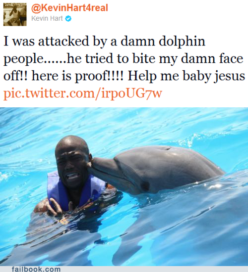 Kevin Hart Swims with Dolphins