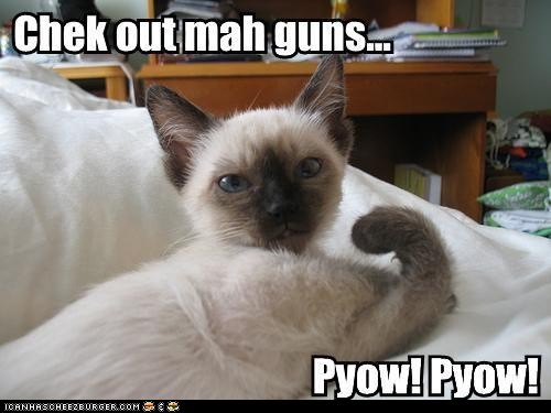 Chek out mah guns...