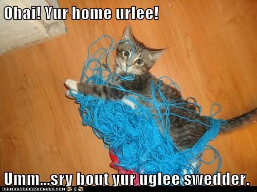 Ohai! Yur home urlee!  Umm...sry bout yur uglee swedder.