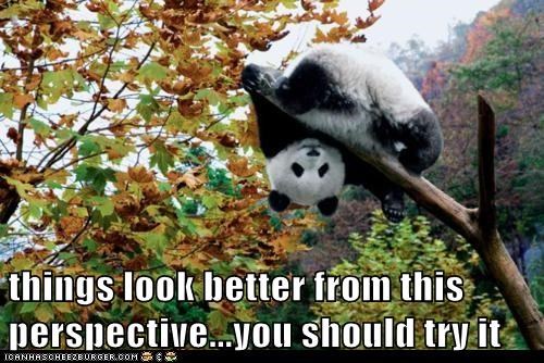 Might Make You Feel Better About Your Short-comings!
