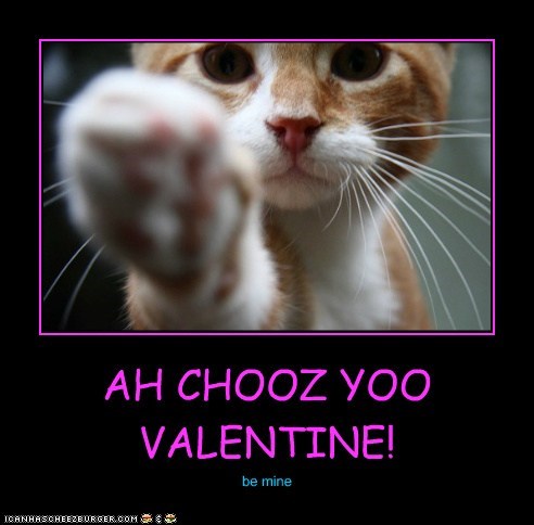 AH CHOOZ YOO VALENTINE!