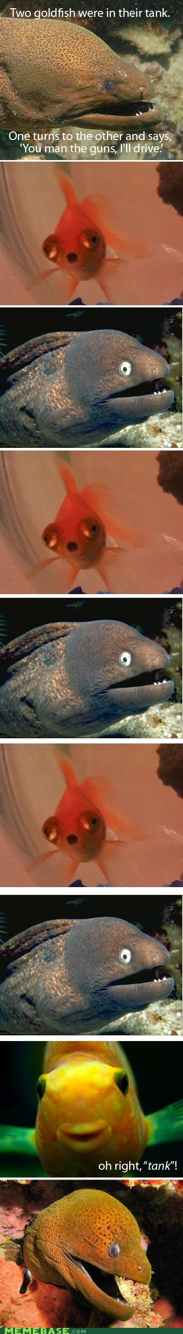 Slow Joke Fish