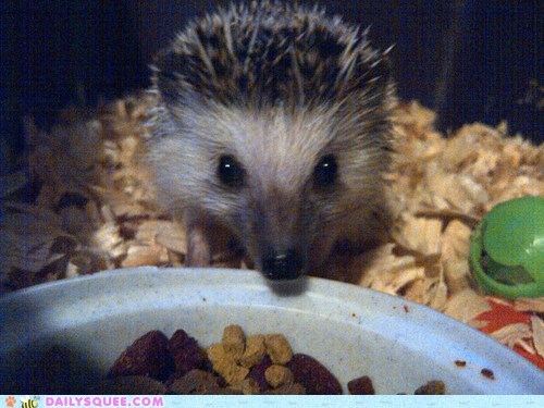 Reader Squees: Prickly Exterior, Fuzzy Interior