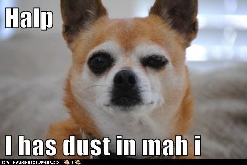 Halp   I has dust in mah i