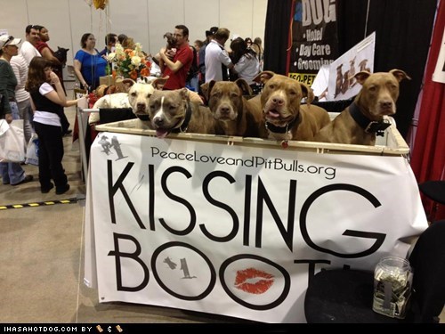 The Best Possible of All Possible Kissing Booths??