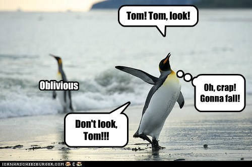 Tom! Tom, look!