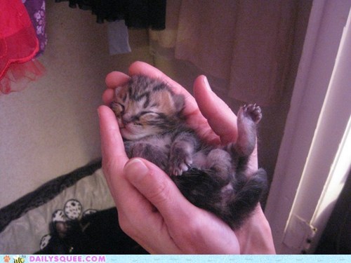 Reader Squees: Boo-Boo at One Week
