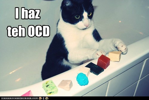 I haz
