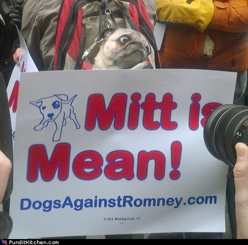 Dogs Against Romney