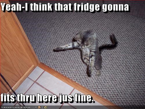 Yeah-I think that fridge gonna  fits thru here jus fine.