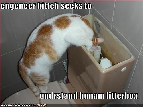 engeneer kitteh seeks to  undrstand hunam litterbox