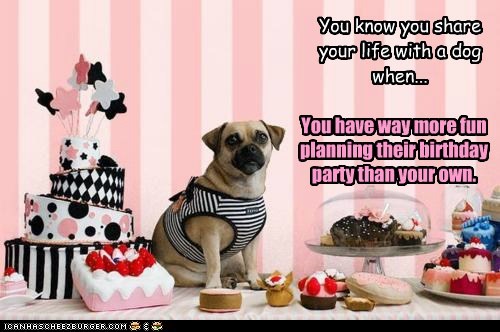 Life with Dogs XVIII