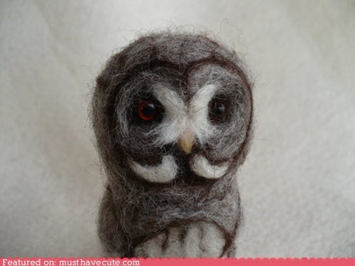 Who Has a Lovely Moustache?