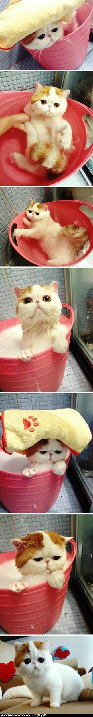 Cutest.  Bath.  EVAR!!!!1