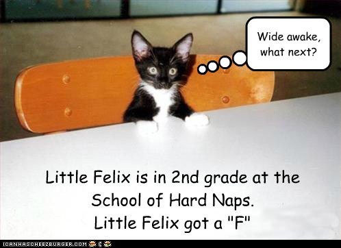 Failure to Nap