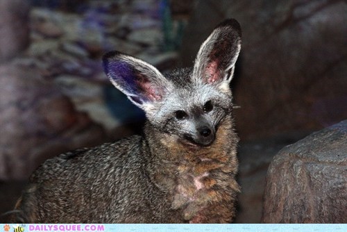 Squee Spree: A Priceless Expression