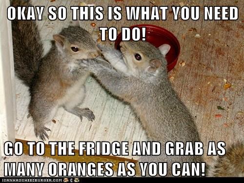 OKAY SO THIS IS WHAT YOU NEED TO DO!  GO TO THE FRIDGE AND GRAB AS MANY ORANGES AS YOU CAN!