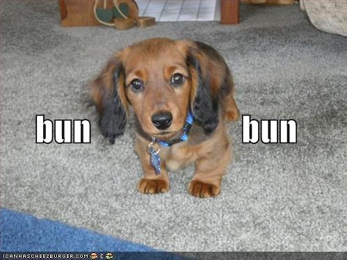 bun                      bun