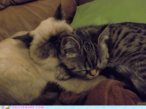 Reader Squees: Brotherlove