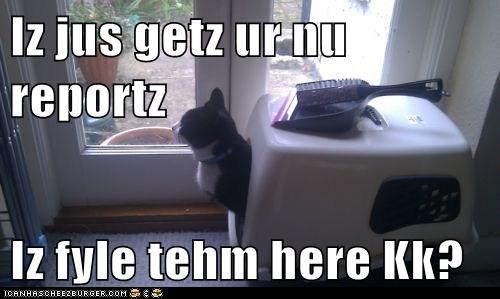 Iz jus getz ur nu reportz  Iz fyle tehm here Kk?