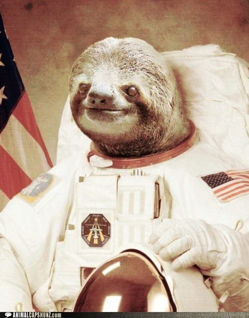 Space Sloth Capshun Contest