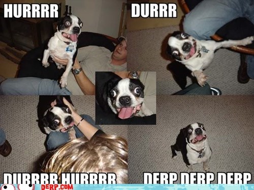 Exturrrrreme Goggie Derping