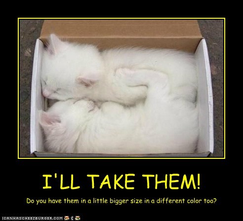 I'LL TAKE THEM!