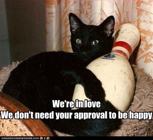 Basement Cat's Behavior Became Erratic After Falling Down the Stairs