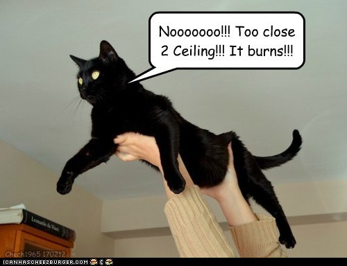 Lemme down!!!