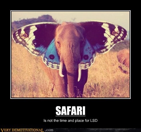 SAFARI