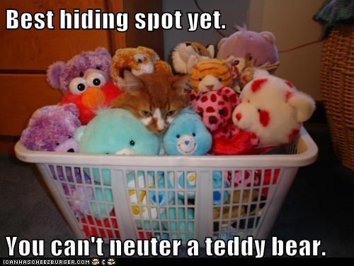 Best hiding spot yet.
