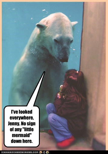 Can You Ask the Walrus to Look?