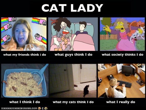 What People Think I Do vs. What I Really Do: Cat Lady