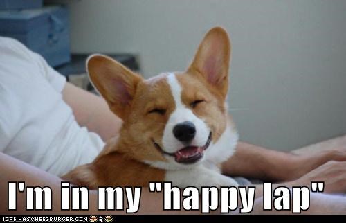 I'm in my "happy lap"