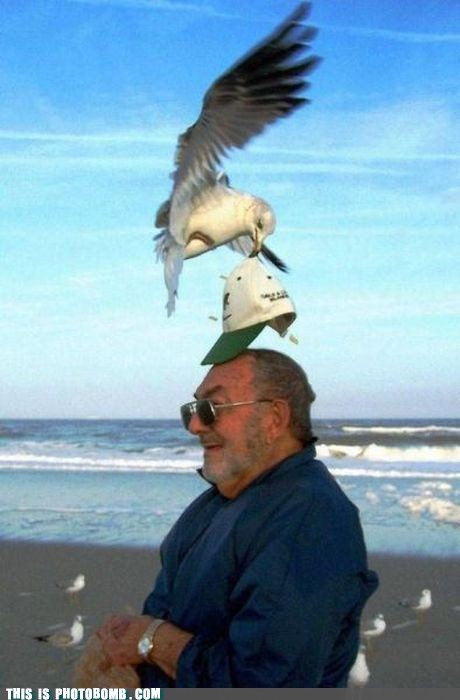 Perfect Timing: Dinner Time