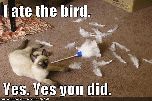 I ate the bird.  Yes. Yes you did.