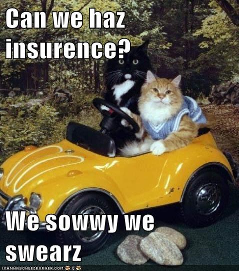 Can we haz insurence?  We sowwy we swearz