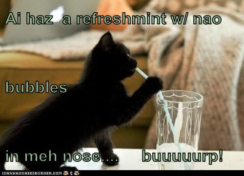 Ai haz  a refreshmint w/ nao bubbles in meh nose....     buuuuurp!