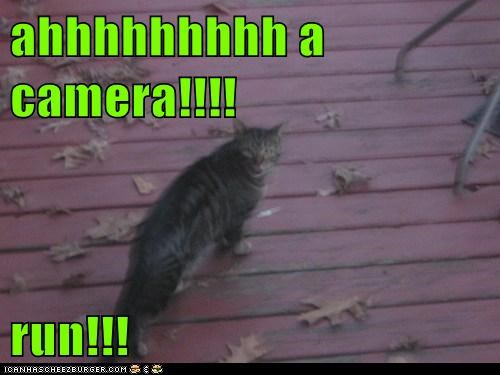 ahhhhhhhhh a camera!!!!  run!!!
