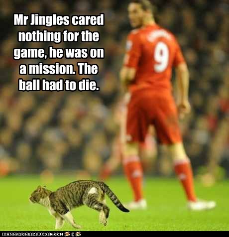 Mr Jingles cared nothing