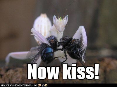 Smooches